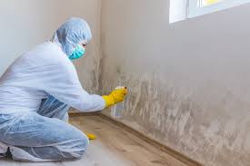 Best Biohazard Mold Removal  in Hugo, MN